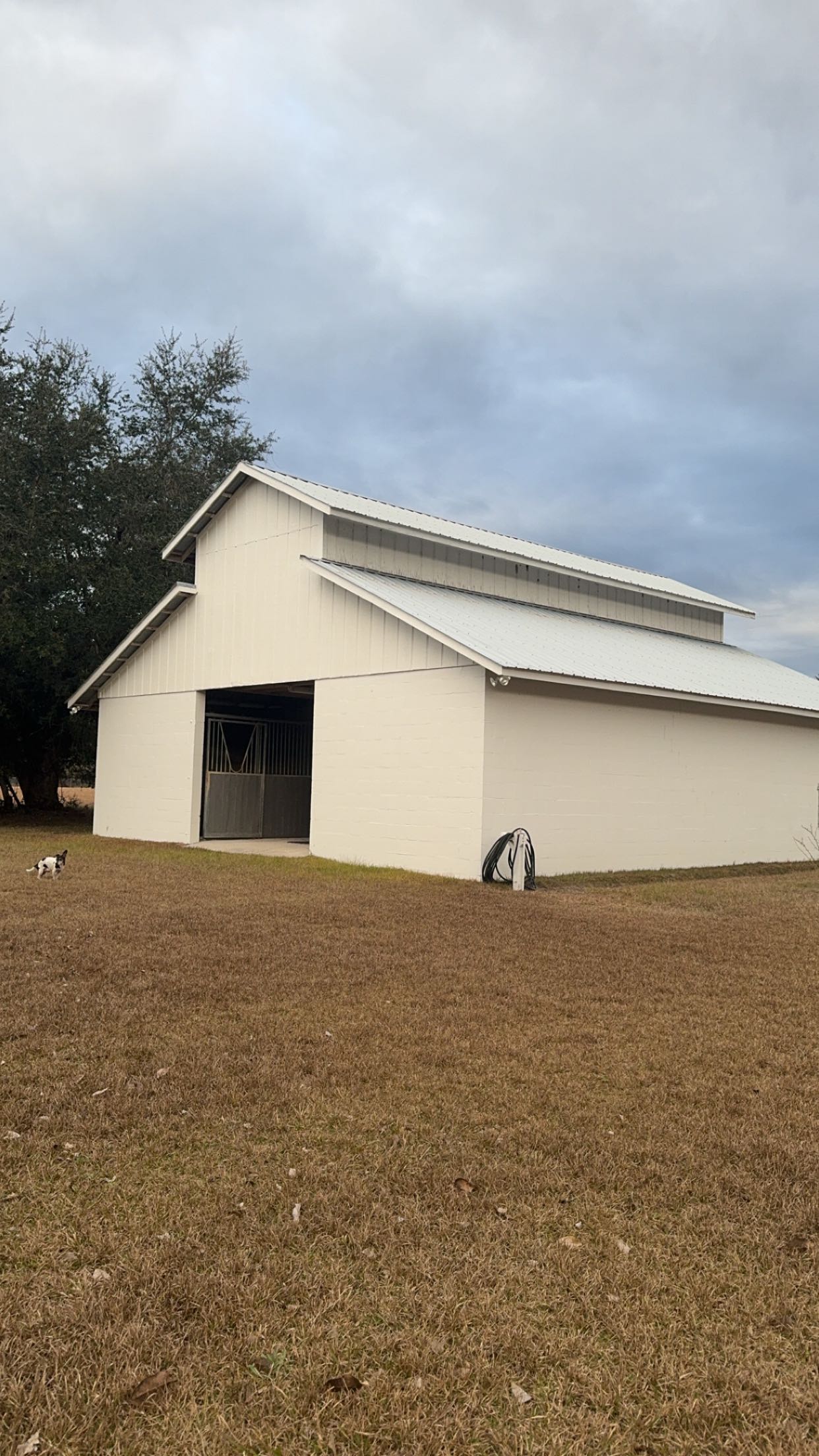 mckinley_1 snapchat image archive image