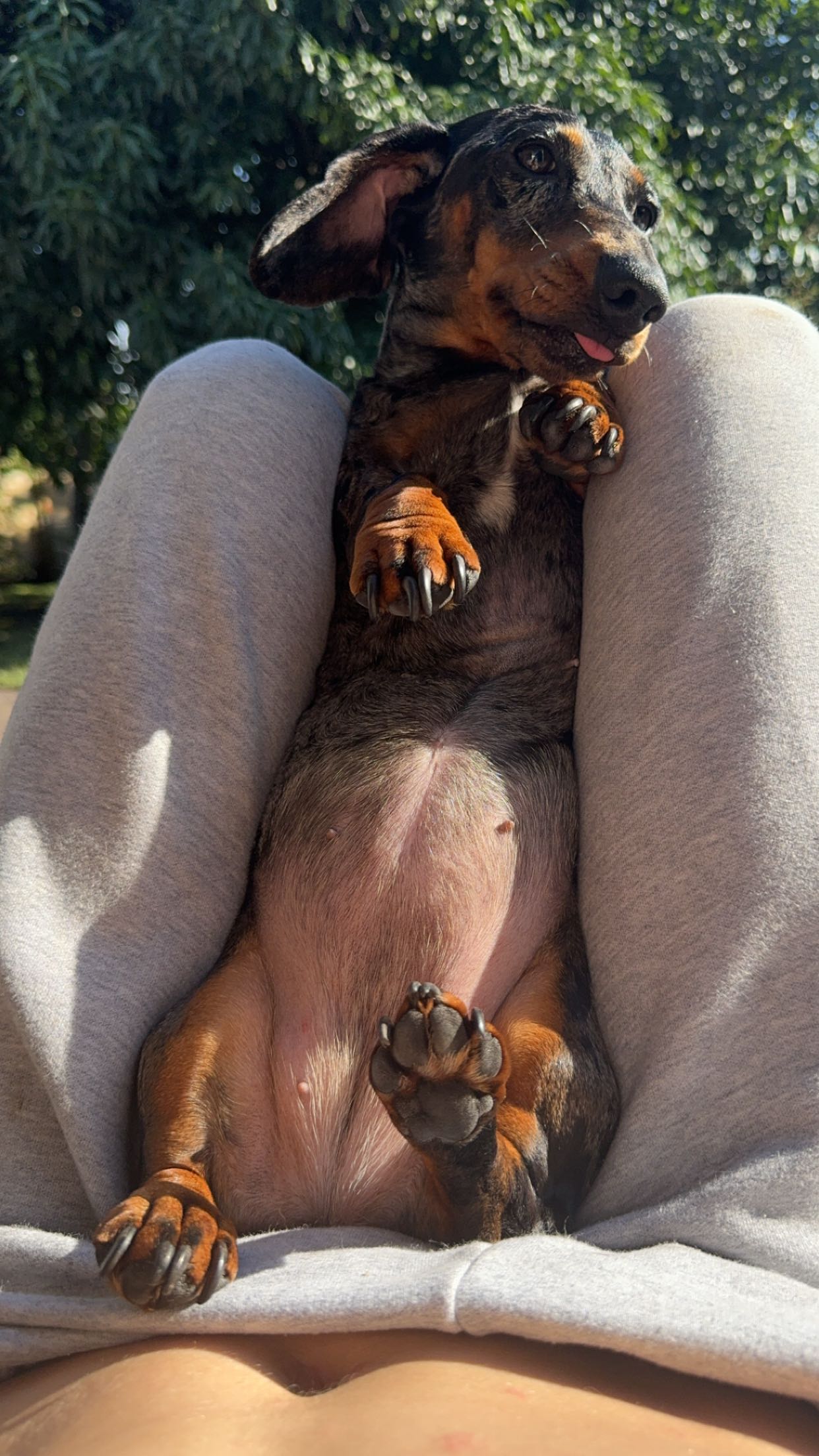 mckinley_1 snapchat image archive image