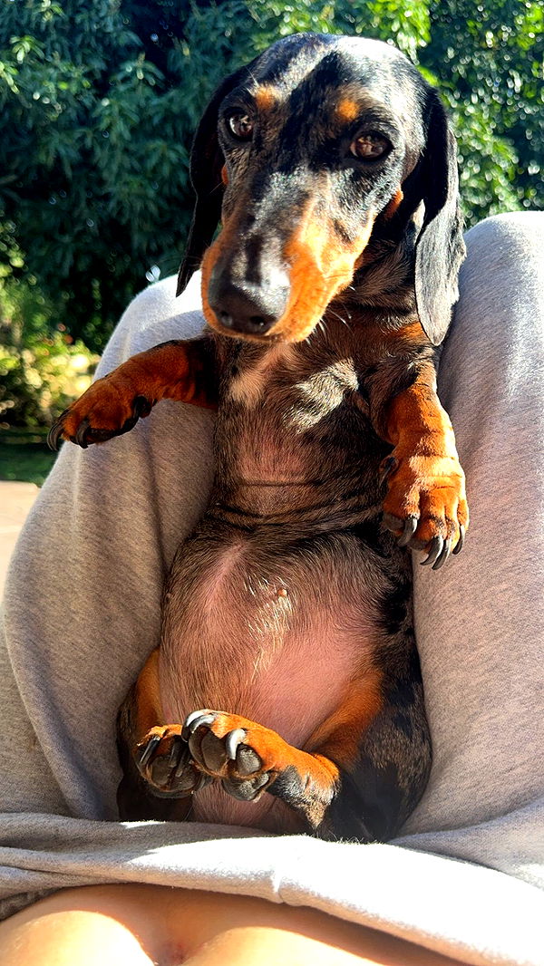 mckinley_1 image ~ Altpins