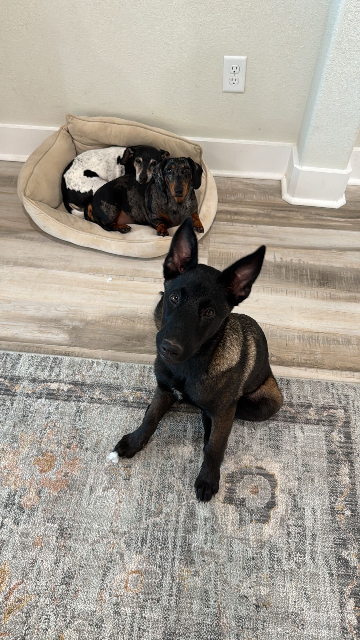 mckinley_1 snapchat image archive image