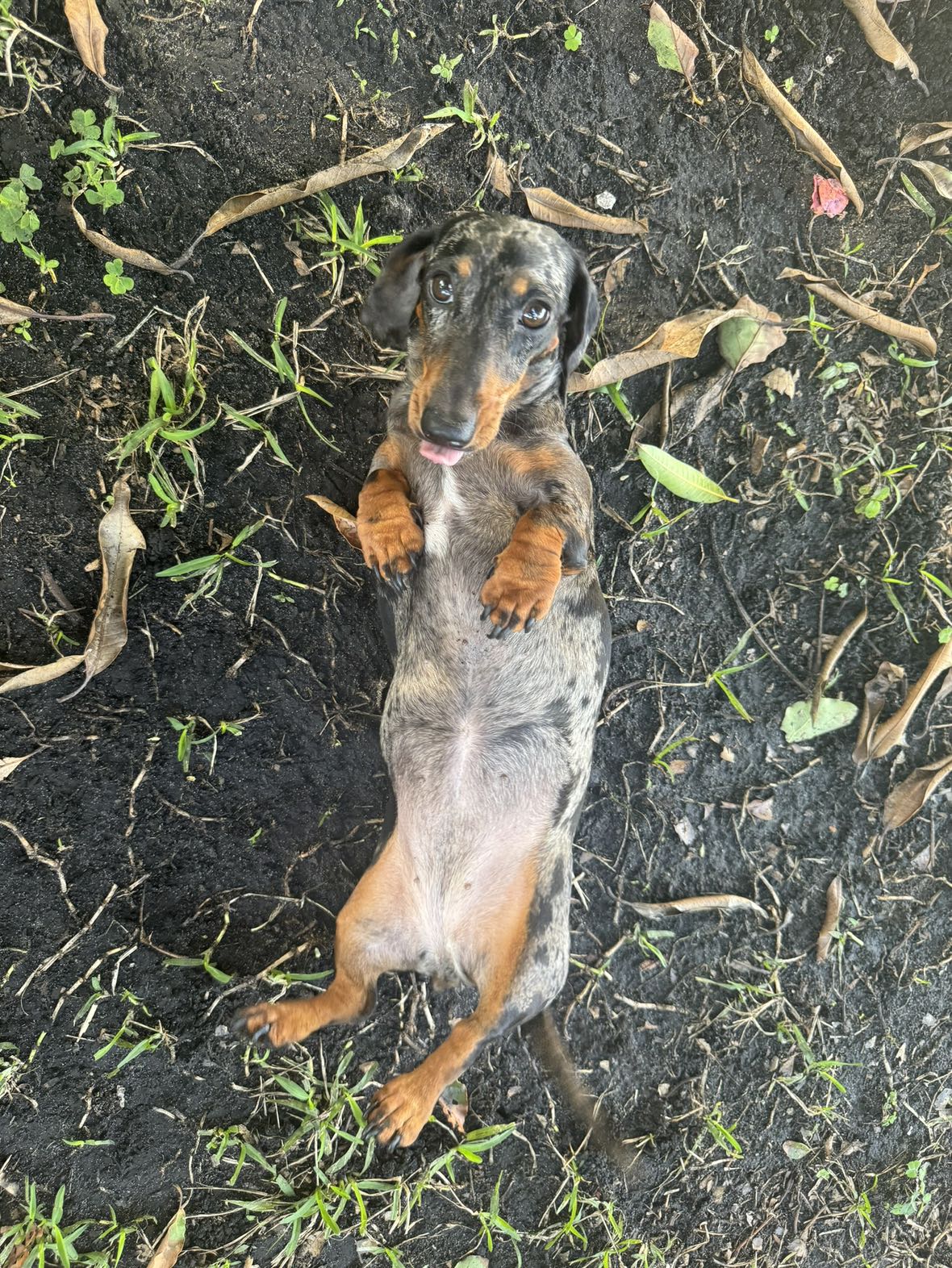 mckinley_1 snapchat image archive image