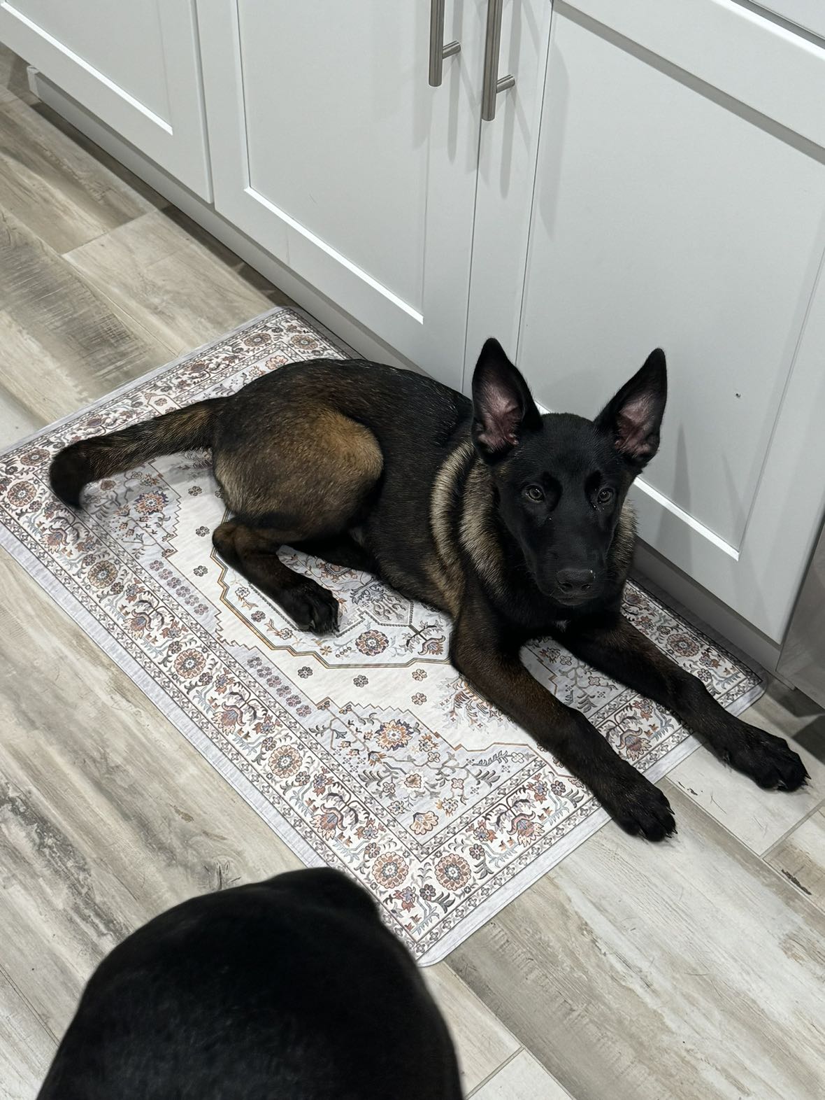 mckinley_1 snapchat image archive image