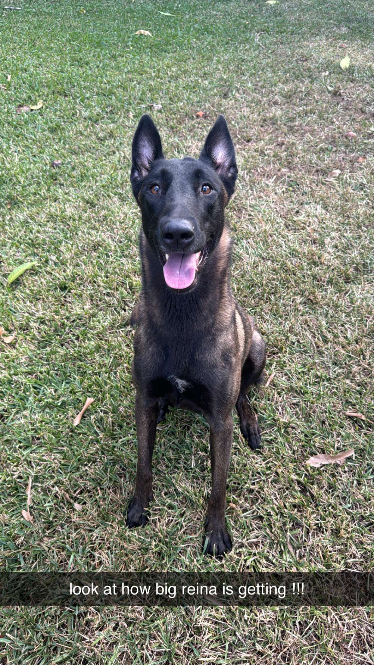 mckinley_1 snapchat image archive image