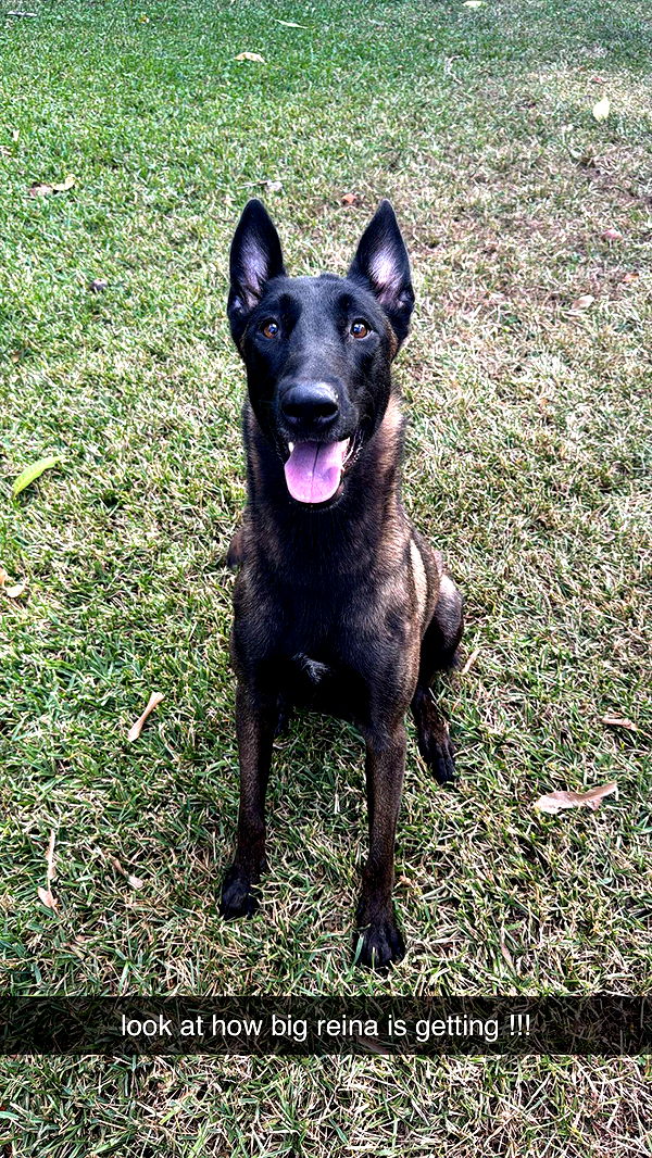 mckinley_1 image ~ Altpins