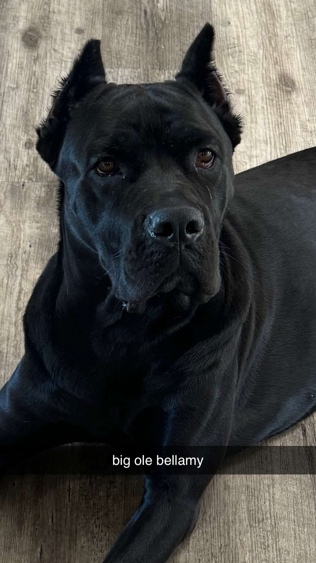 mckinley_1 snapchat image archive image