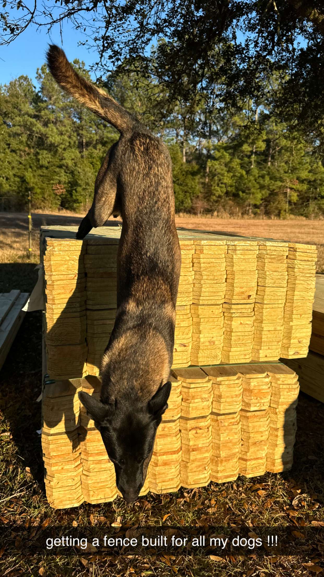 mckinley_1 snapchat image archive image