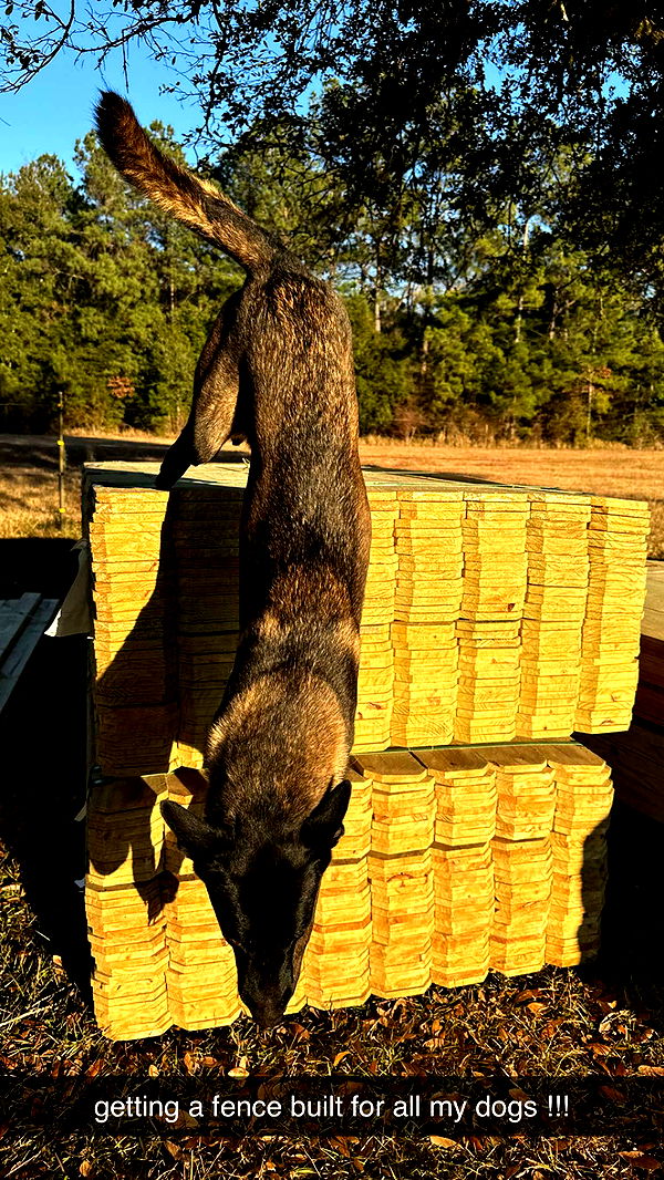 mckinley_1 image ~ Altpins