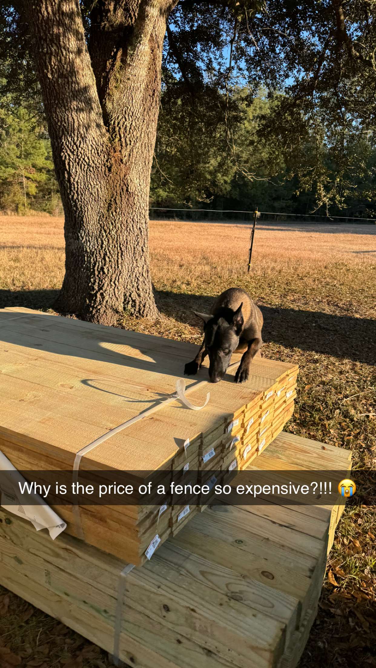 mckinley_1 snapchat image archive image