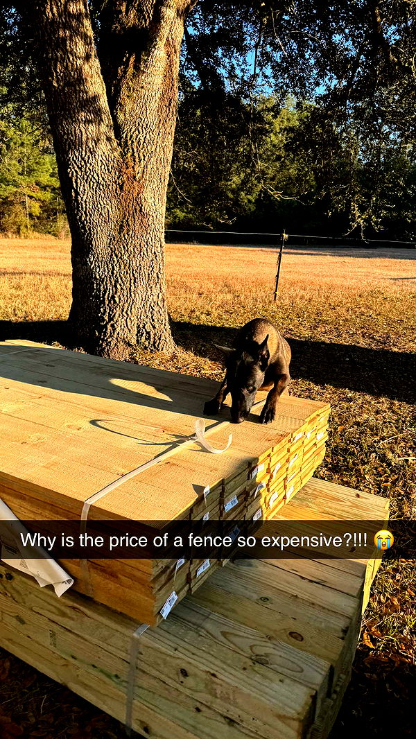 mckinley_1 image ~ Altpins