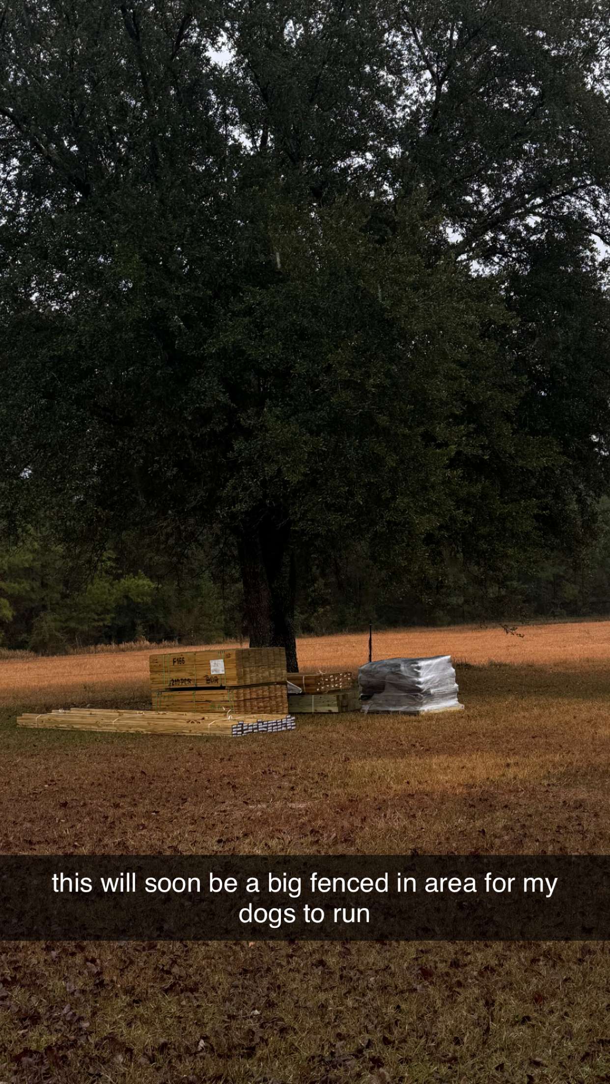 mckinley_1 snapchat image archive image