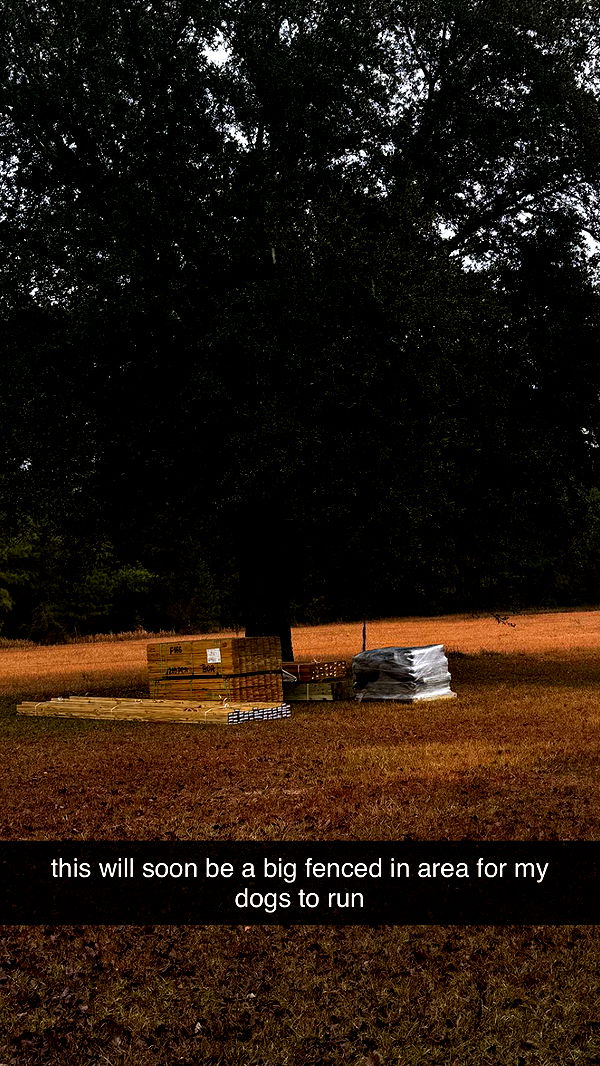 mckinley_1 image ~ Altpins