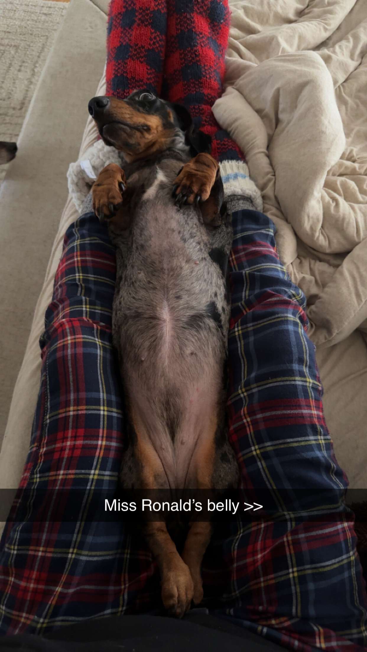 mckinley_1 snapchat image archive image