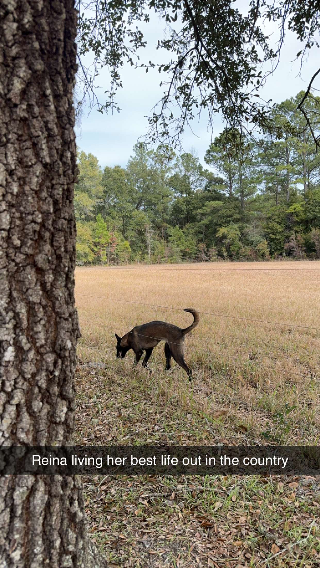 mckinley_1 snapchat image archive image