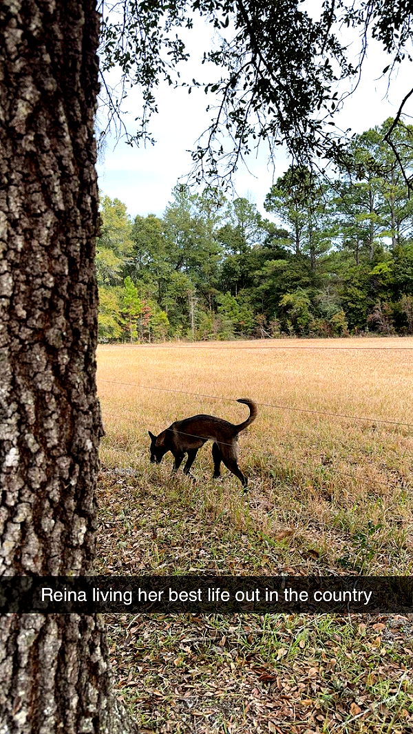 mckinley_1 image ~ Altpins