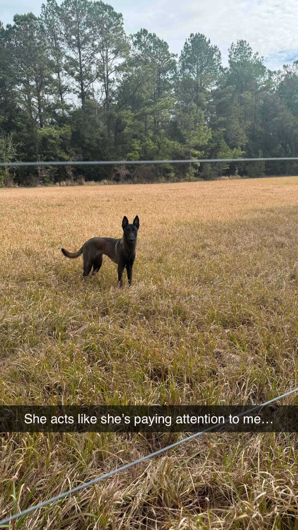 mckinley_1 snapchat image archive image