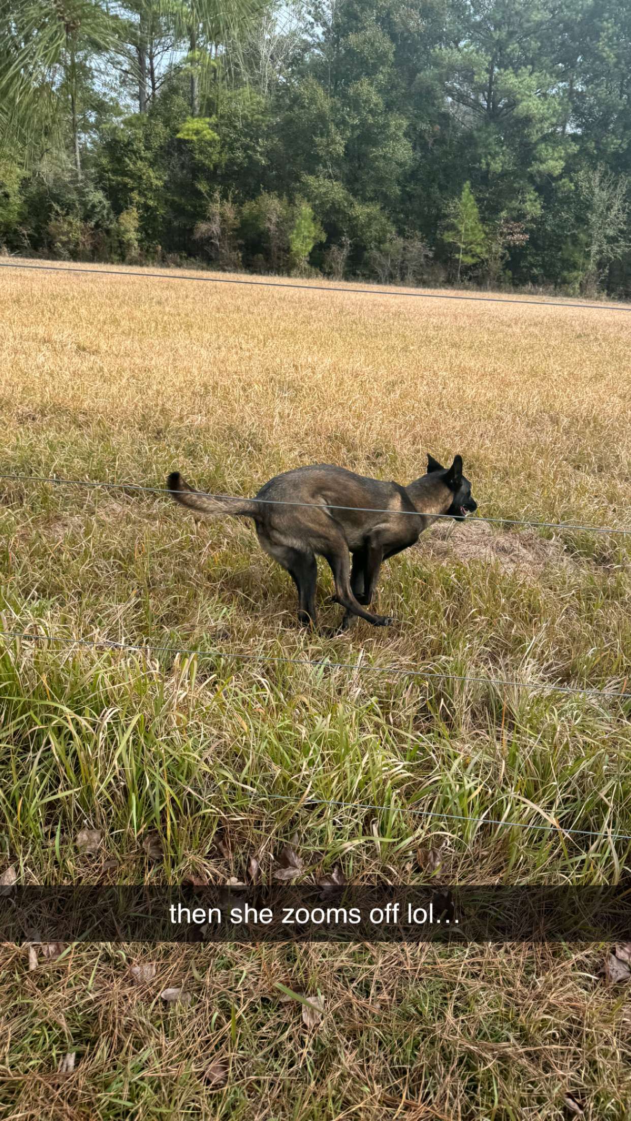 mckinley_1 snapchat image archive image