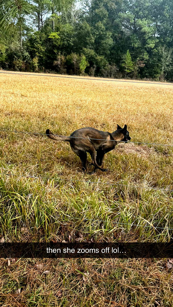 mckinley_1 image ~ Altpins