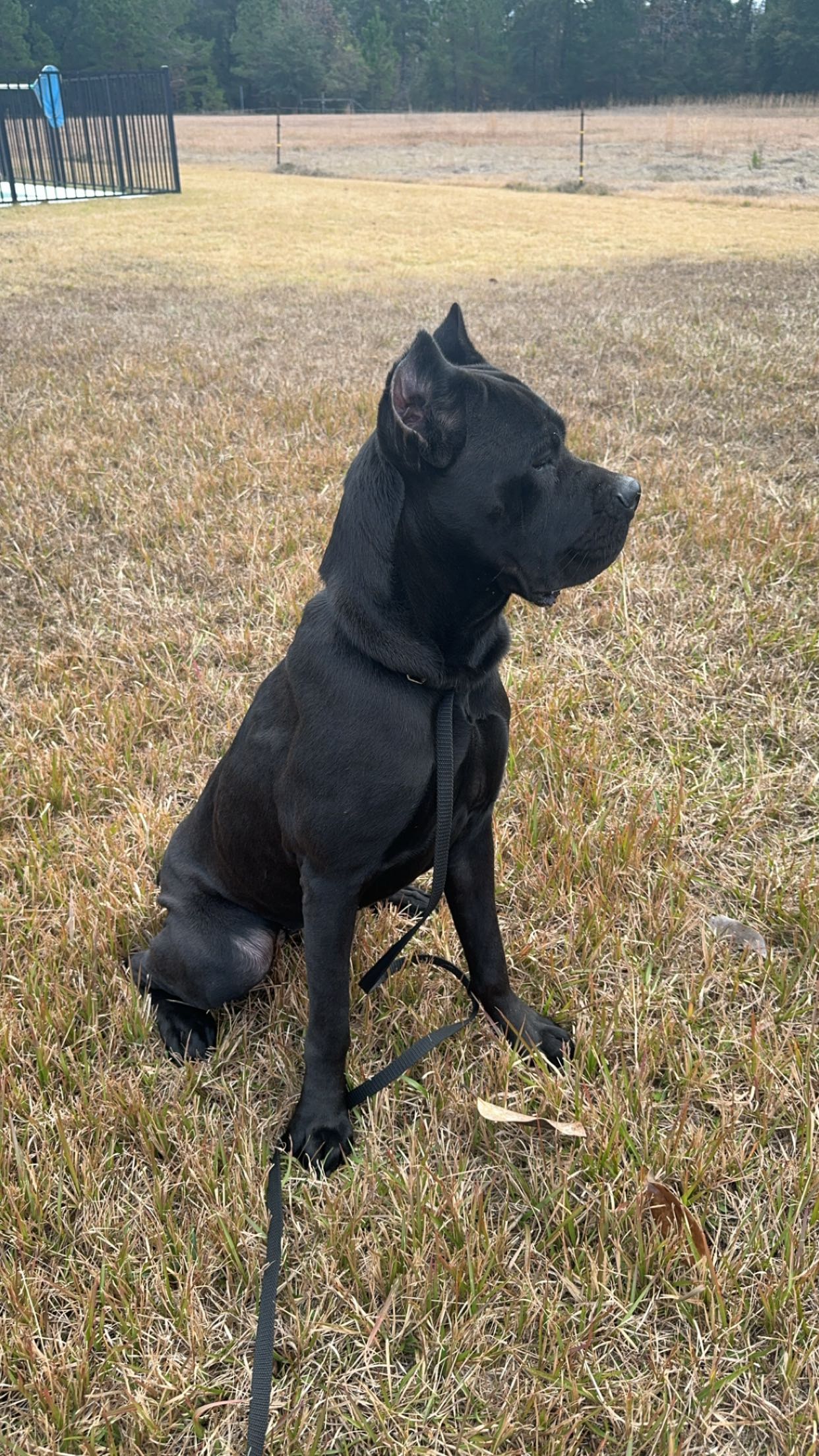 mckinley_1 snapchat image archive image