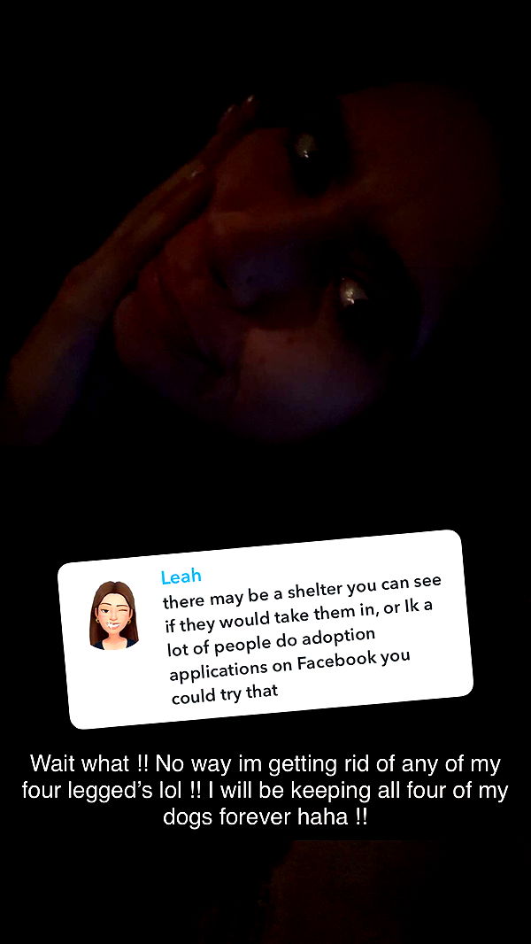 mckinley_1 image ~ Altpins