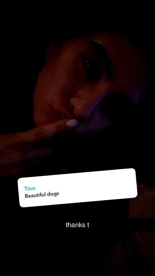 mckinley_1 image ~ Altpins