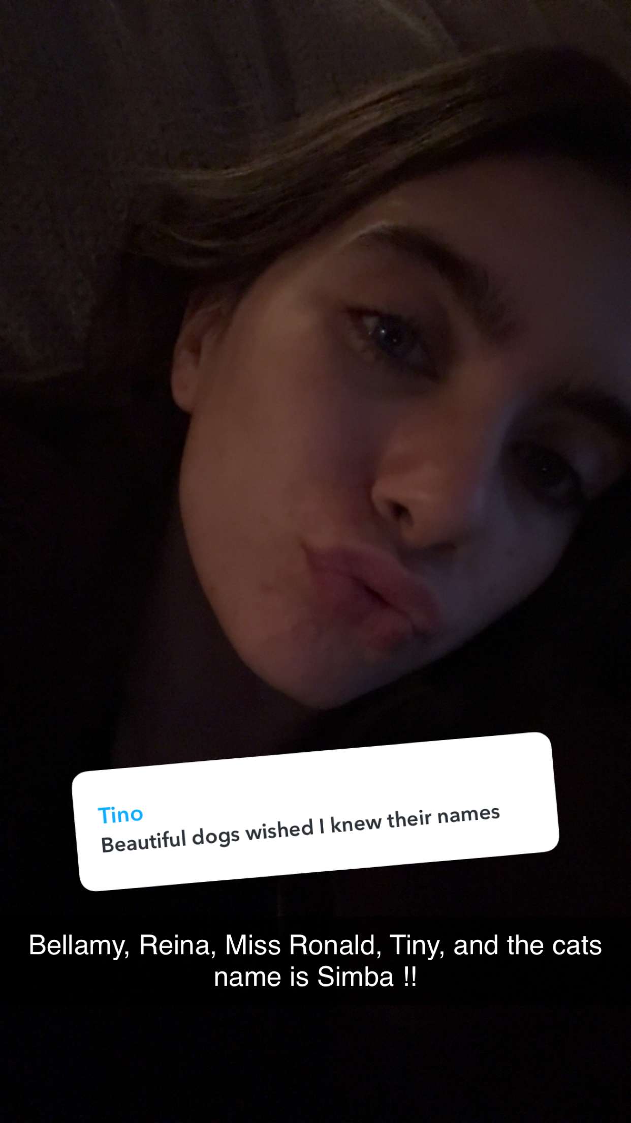 mckinley_1 snapchat image archive image