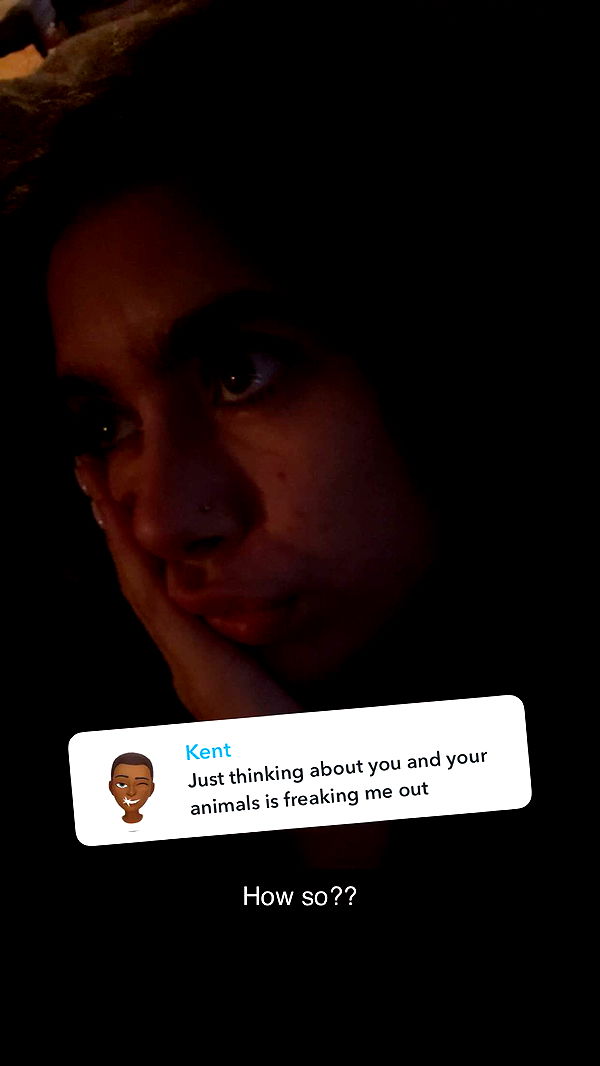 mckinley_1 image ~ Altpins