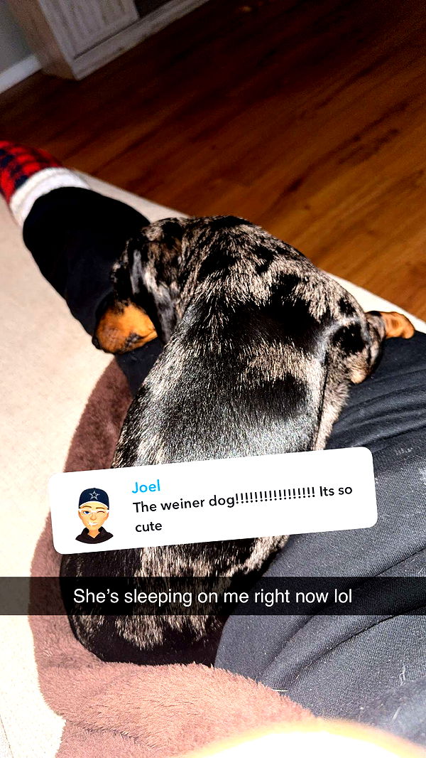 mckinley_1 image ~ Altpins