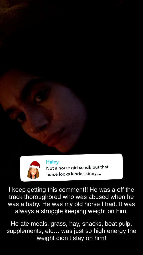 mckinley_1 image ~ Altpins