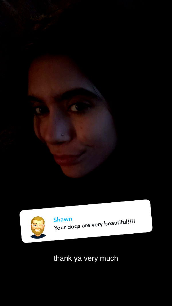 mckinley_1 image ~ Altpins