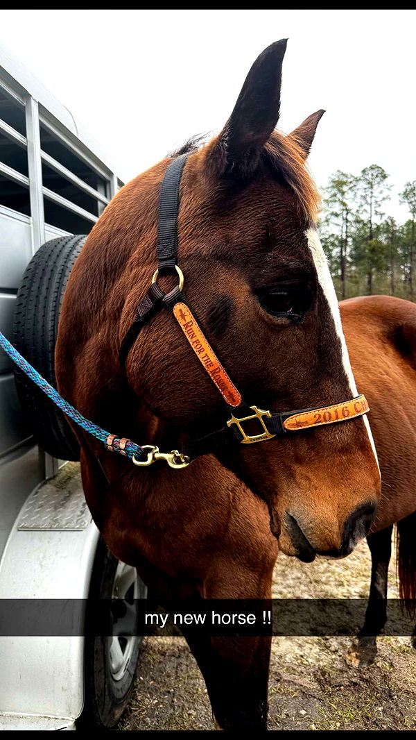 mckinley_1 image ~ Altpins