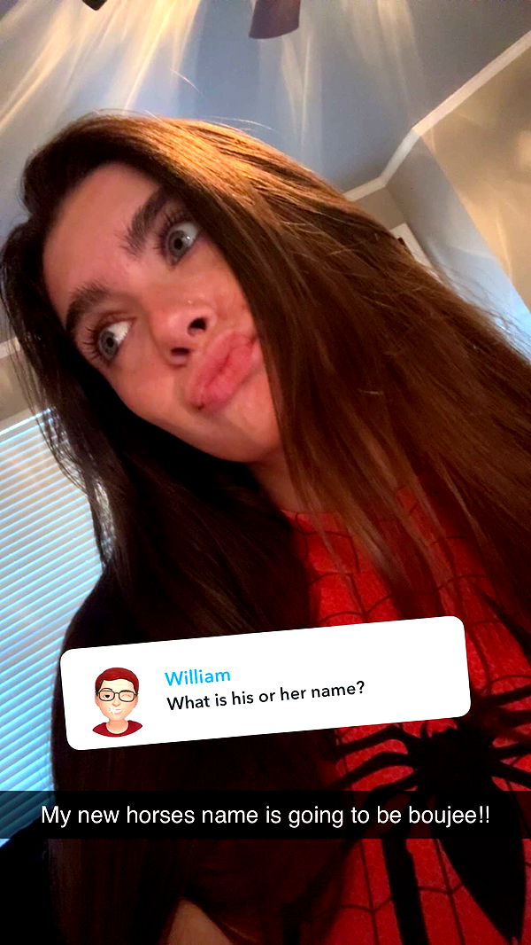 mckinley_1 image ~ Altpins