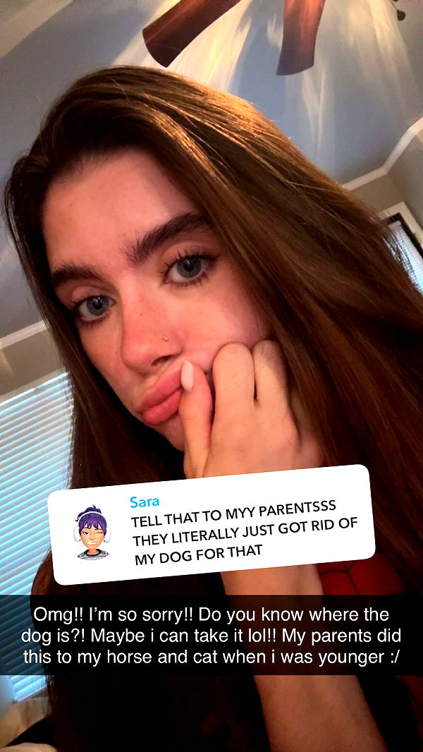 mckinley_1 image ~ Altpins