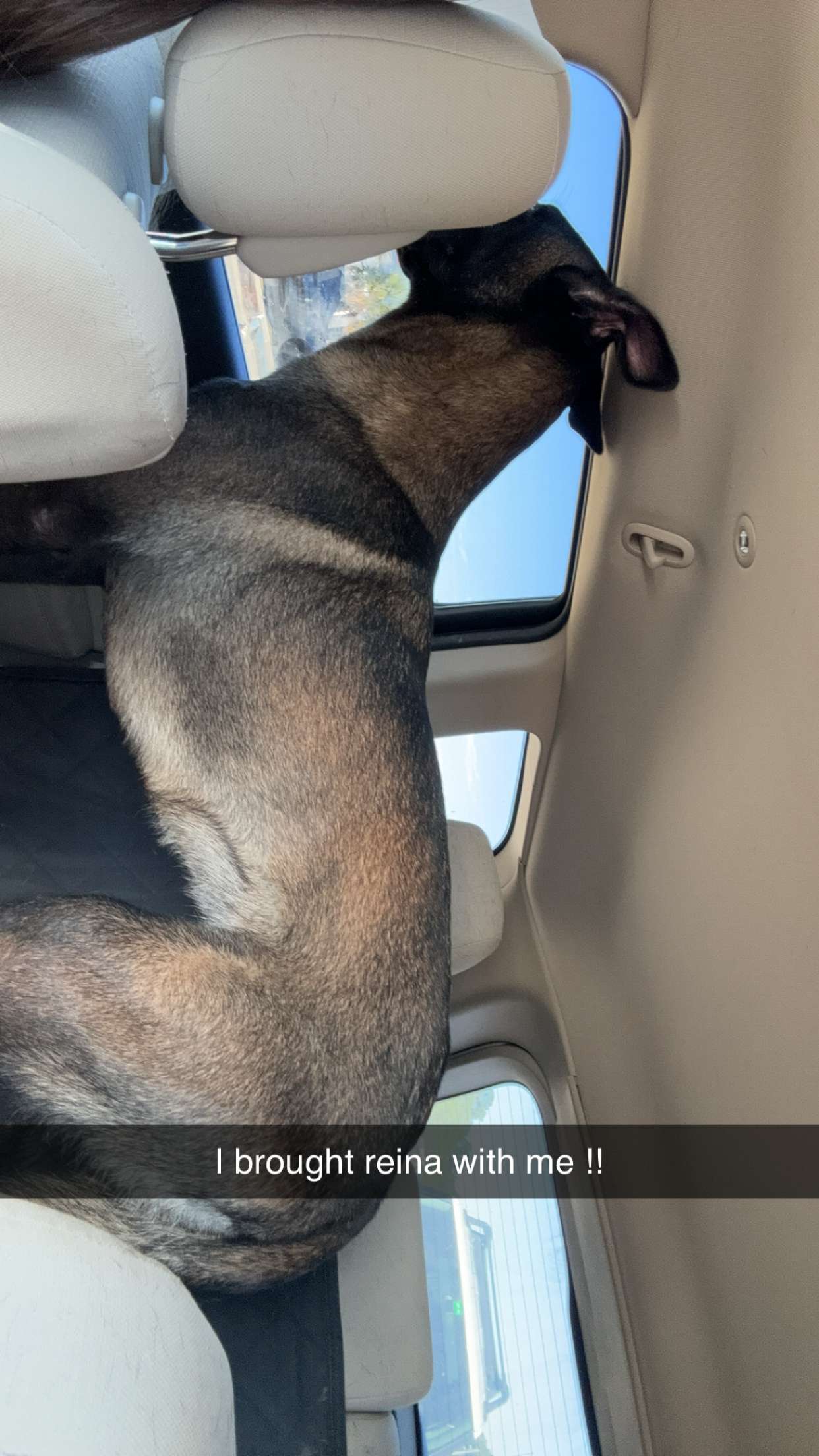 mckinley_1 snapchat image archive image