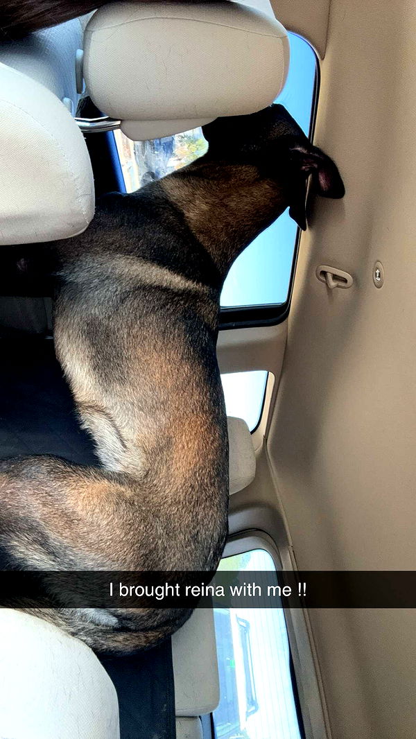 mckinley_1 image ~ Altpins