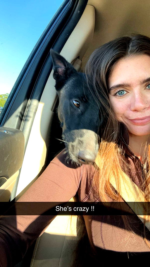 mckinley_1 image ~ Altpins