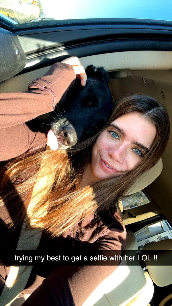 mckinley_1 image ~ Altpins