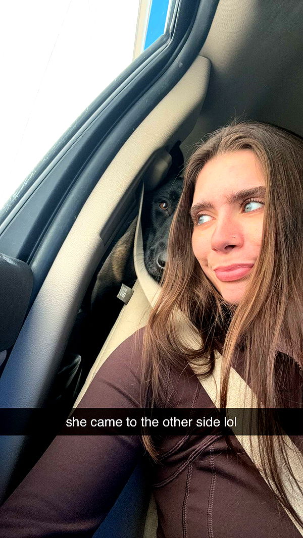 mckinley_1 image ~ Altpins