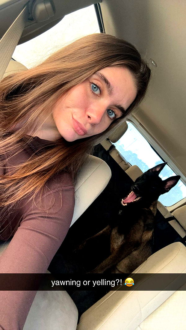 mckinley_1 image ~ Altpins