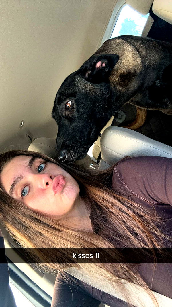 mckinley_1 image ~ Altpins