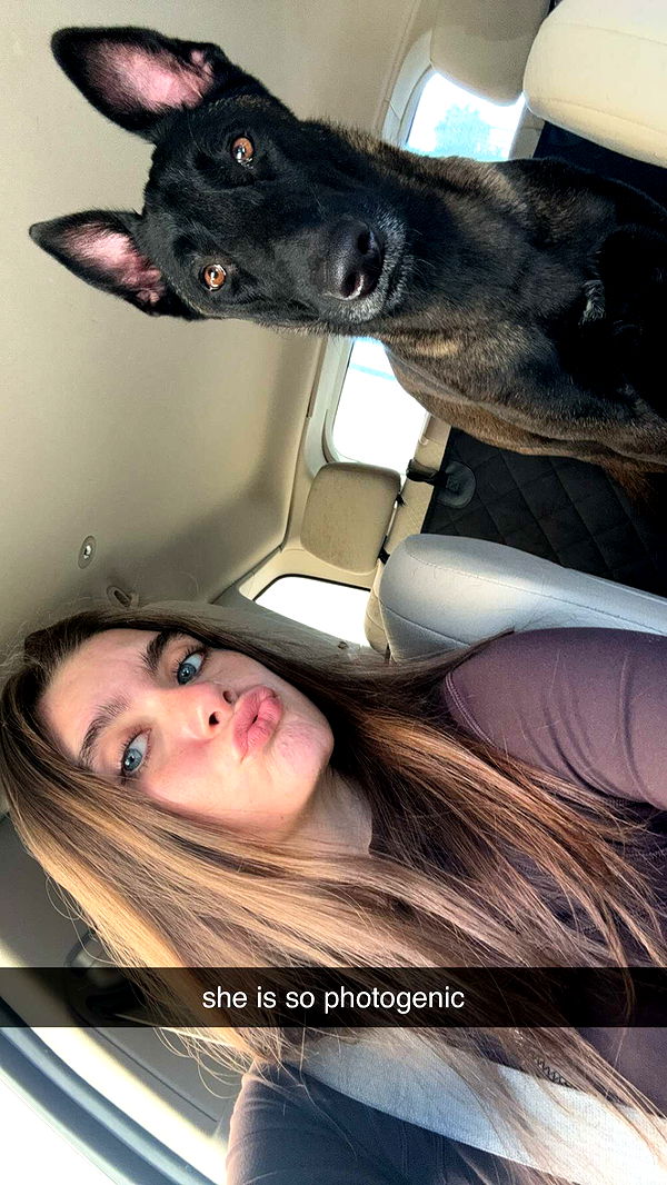 mckinley_1 image ~ Altpins