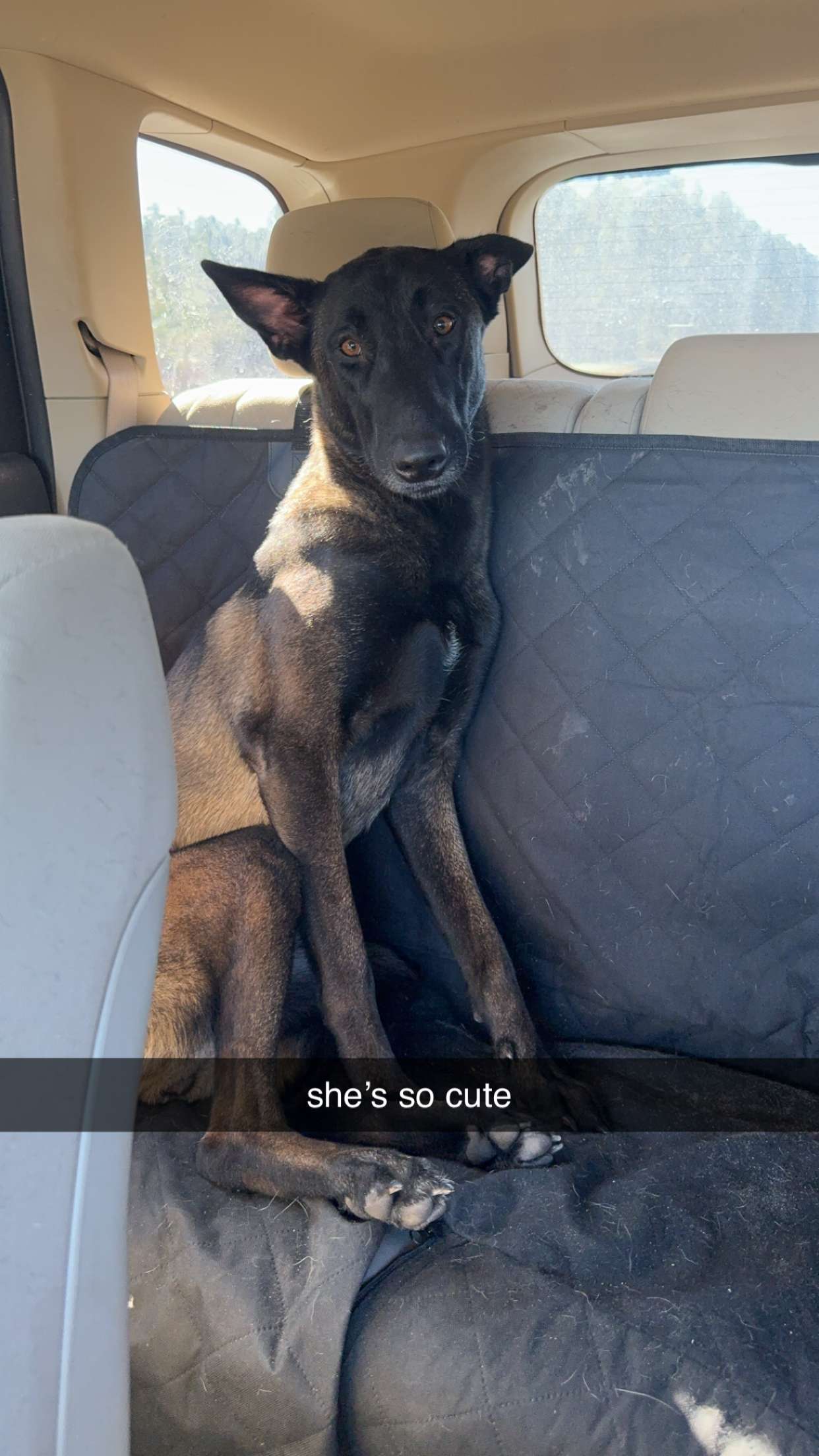 mckinley_1 snapchat image archive image