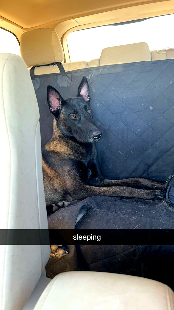 mckinley_1 image ~ Altpins