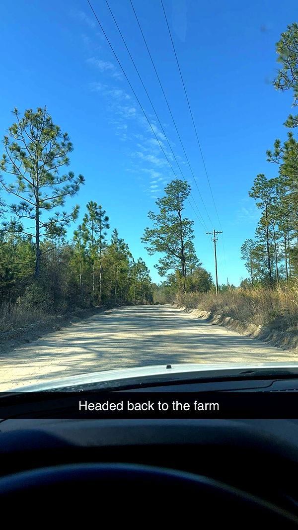 mckinley_1 image ~ Altpins