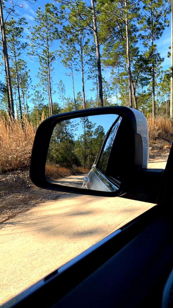 mckinley_1 image ~ Altpins