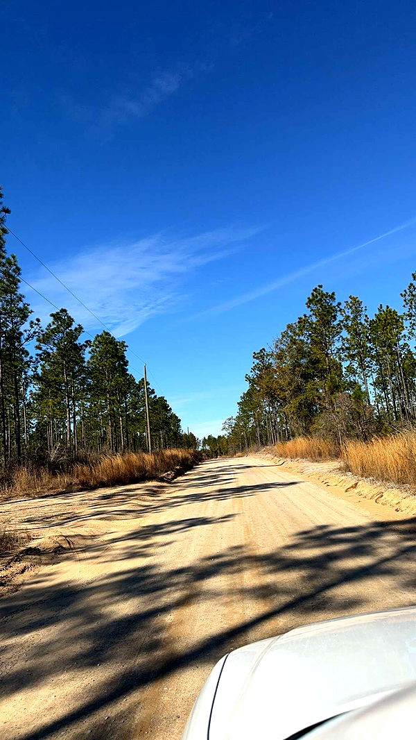 mckinley_1 image ~ Altpins