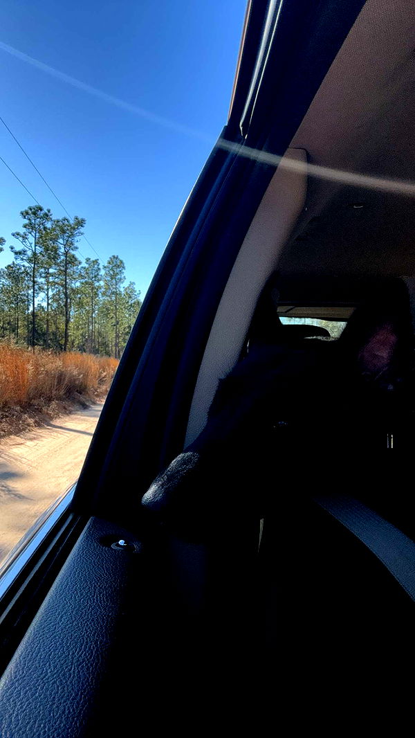 mckinley_1 image ~ Altpins