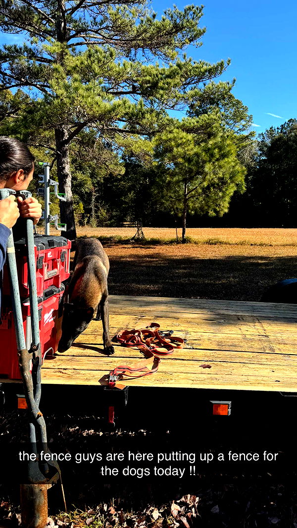 mckinley_1 image ~ Altpins