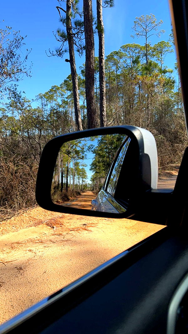 mckinley_1 image ~ Altpins