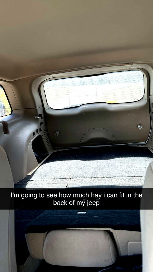 mckinley_1 image ~ Altpins