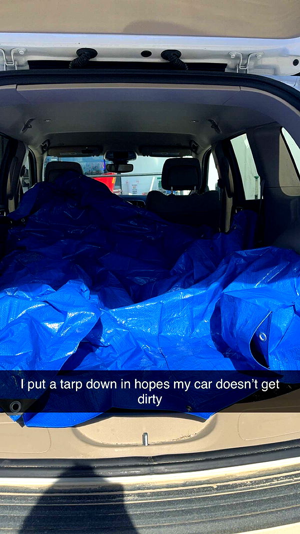 mckinley_1 image ~ Altpins